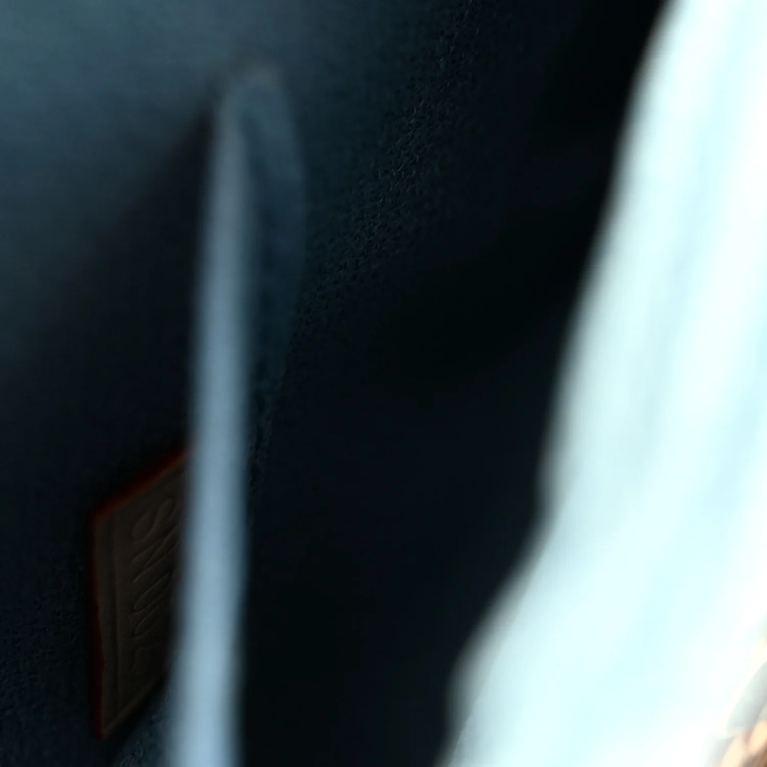 Monogram Lizard Embellished Les Extraordinaires Clutch - Image 7