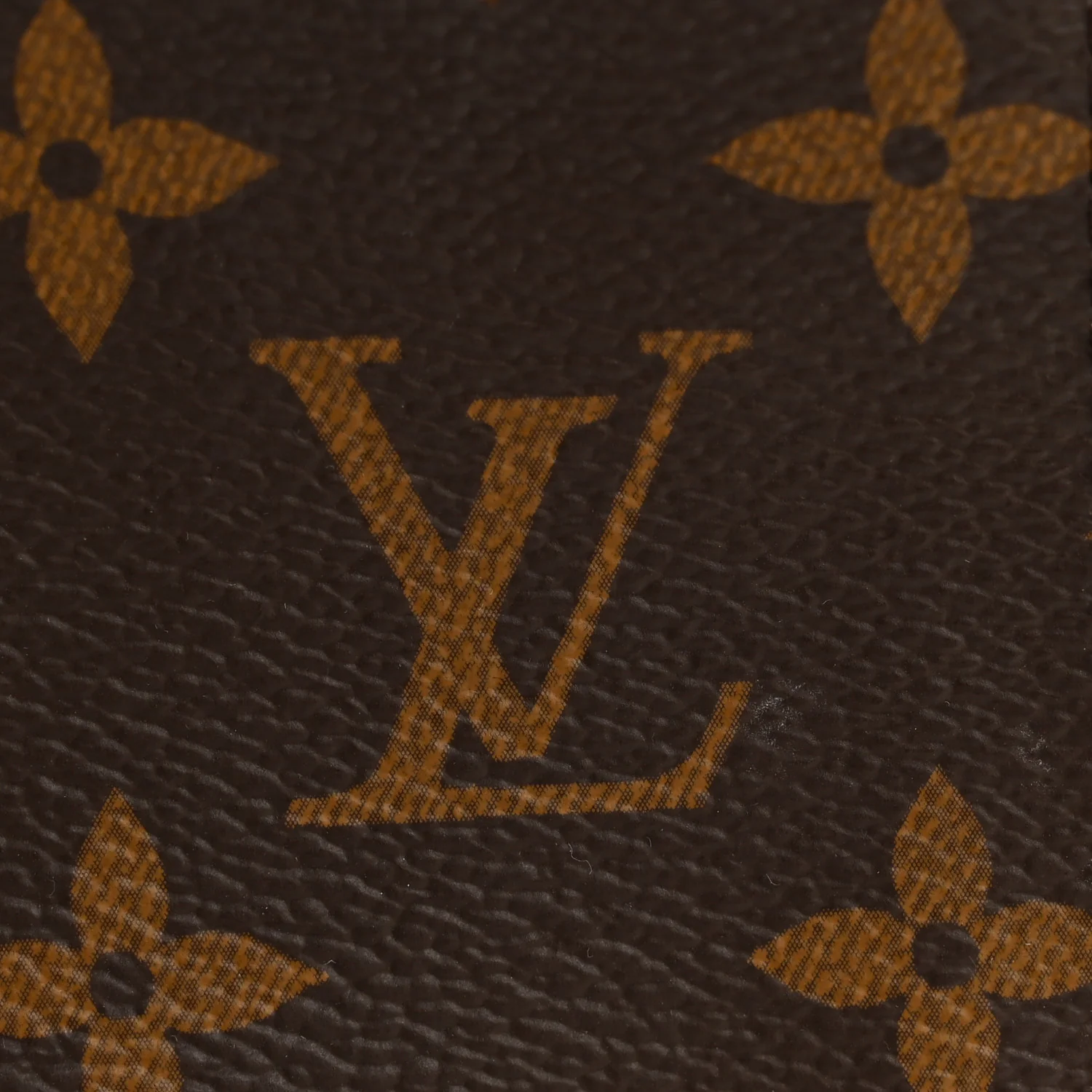 Monogram Nice Mini - Image 9
