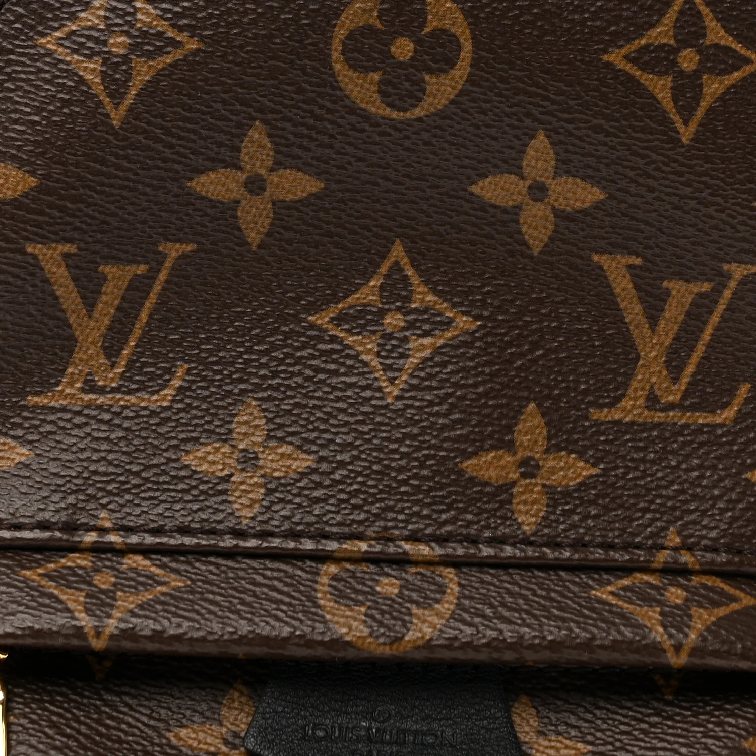 Monogram Palm Springs Backpack Mini - Image 7