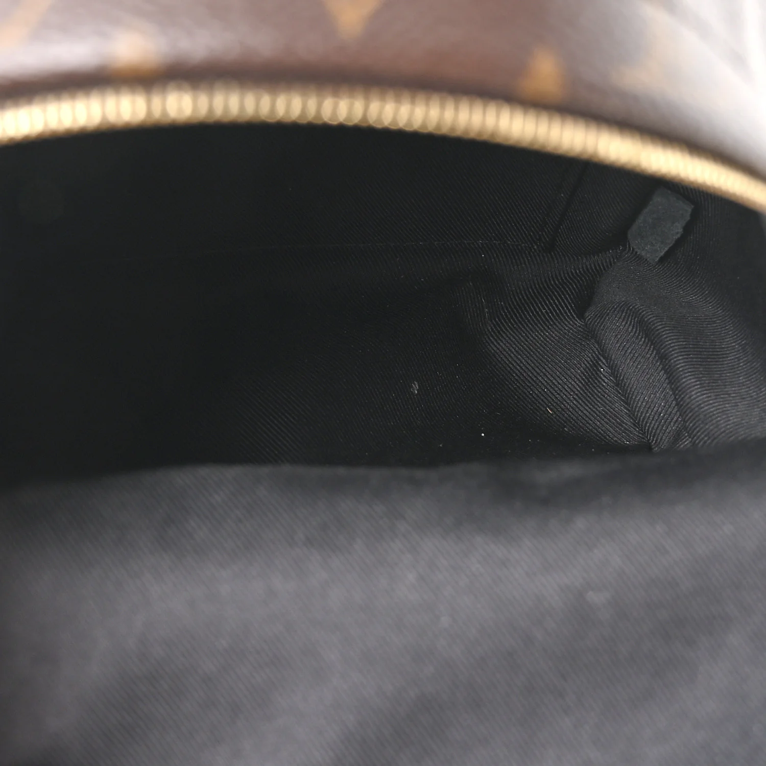 Monogram Palm Springs Backpack Mini - Image 5