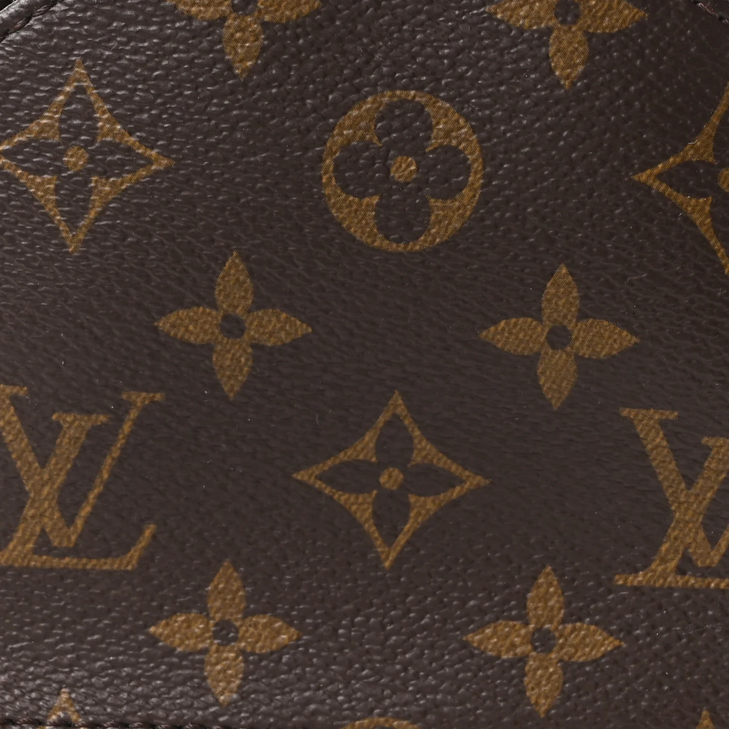 Monogram Palm Springs Backpack Mini - Image 7