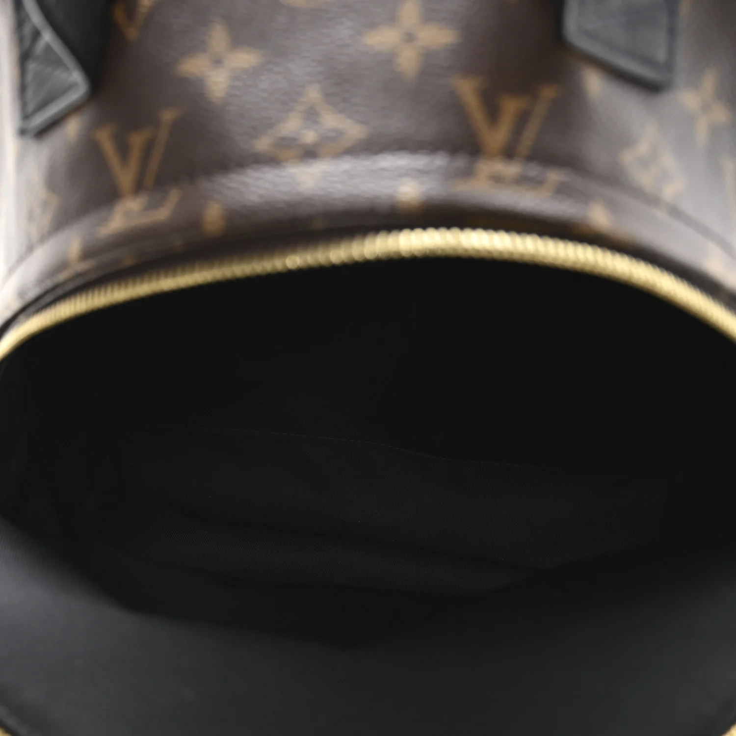 Monogram Palm Springs Backpack MM - Image 5