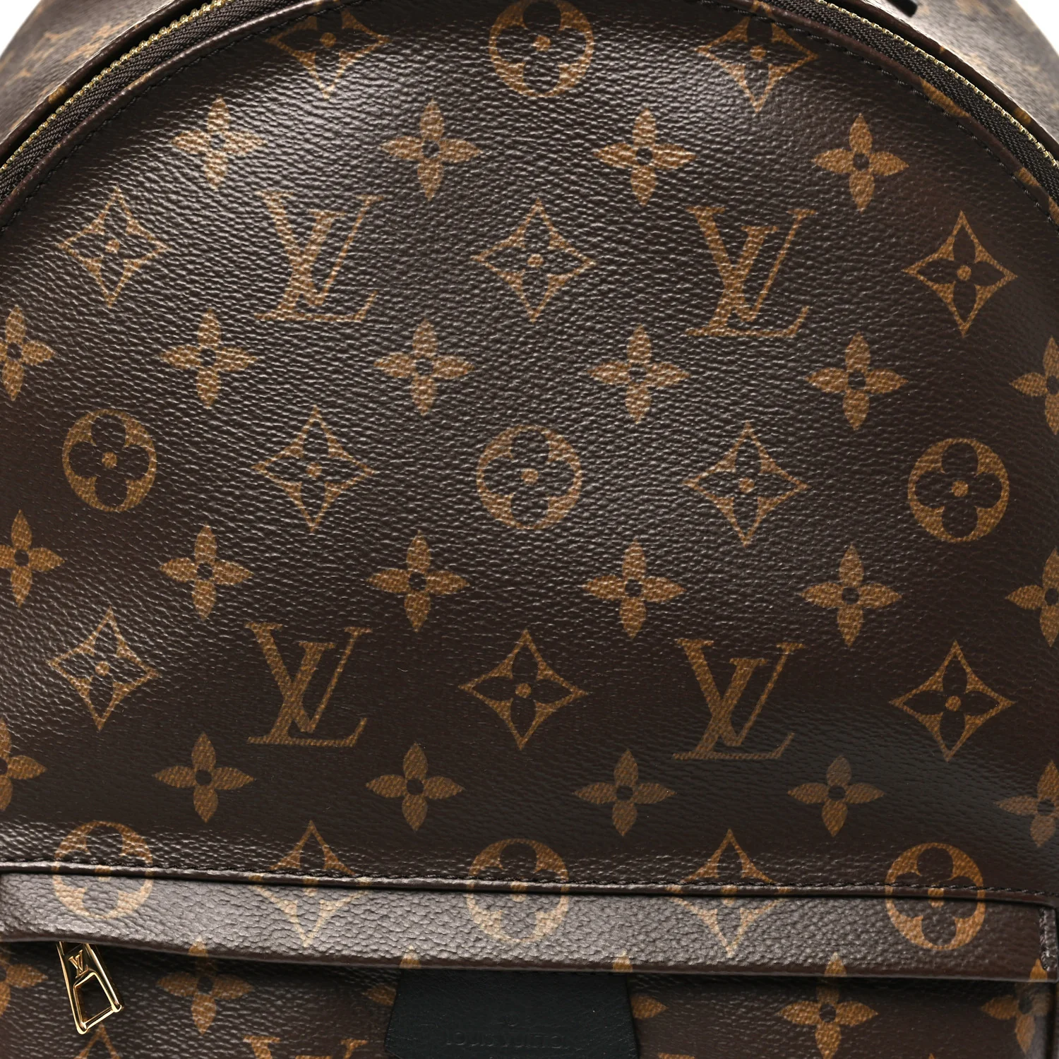 Monogram Palm Springs Backpack MM - Image 7