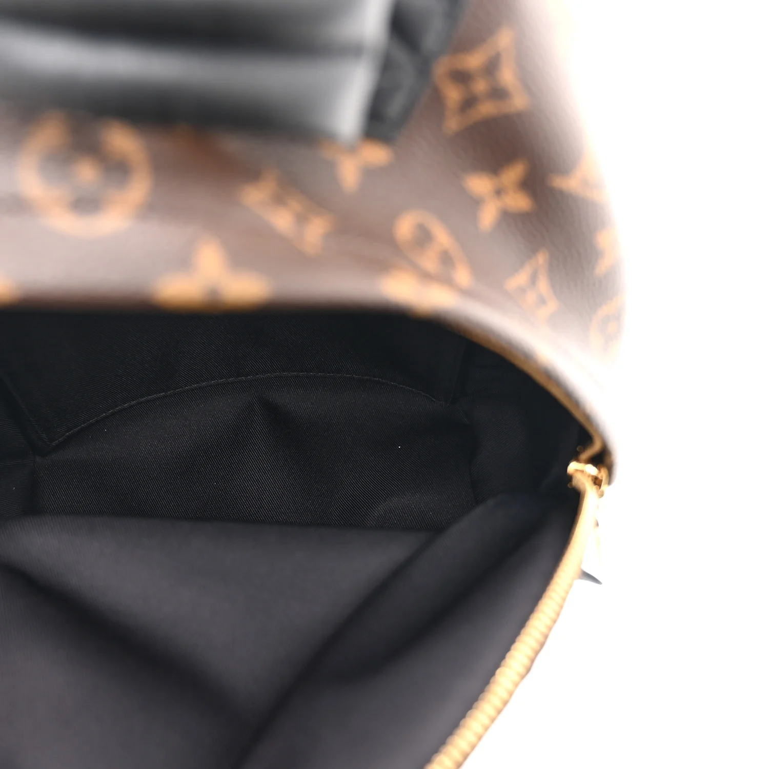 Monogram Palm Springs Backpack PM - Image 5