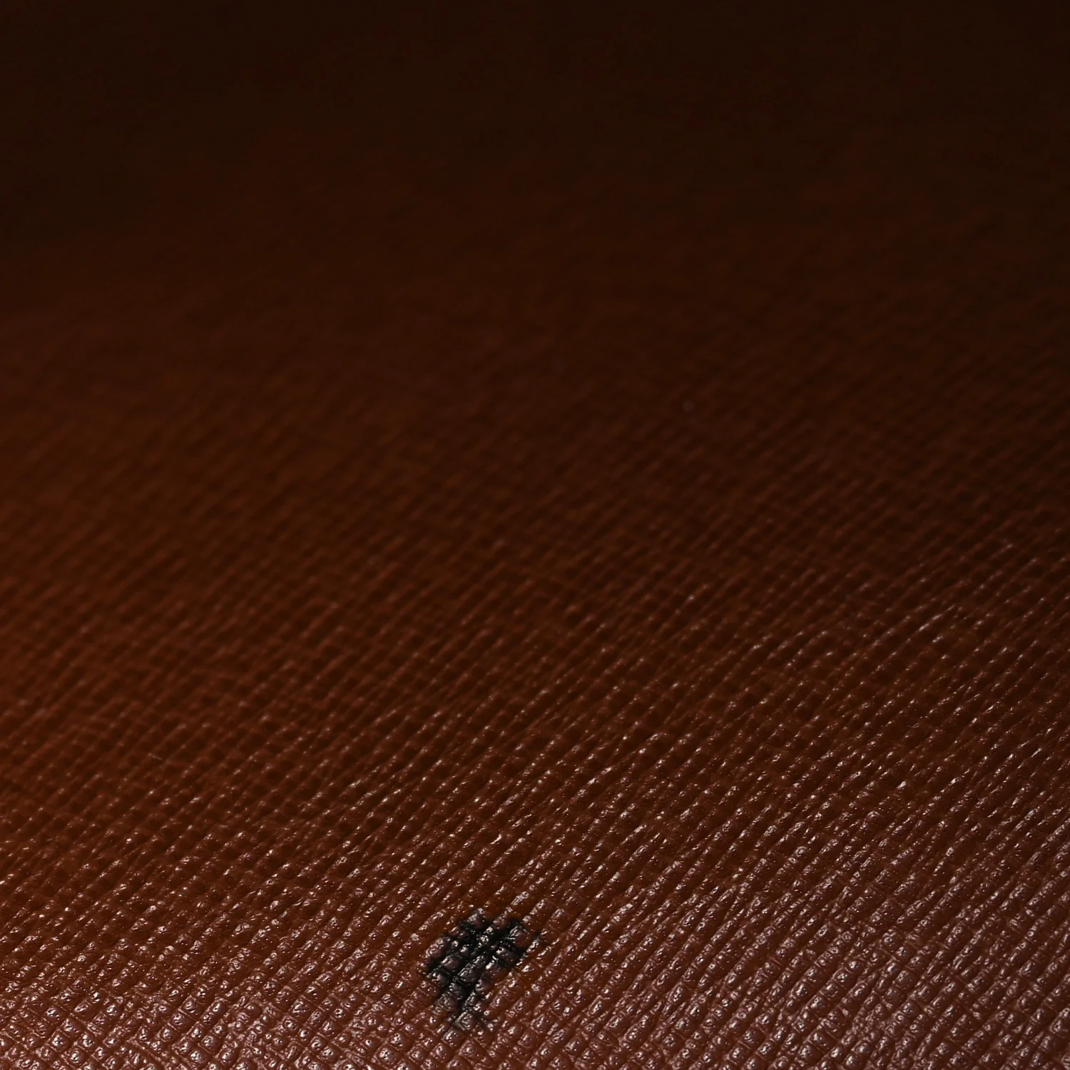 Monogram Papillon 30 - Image 11