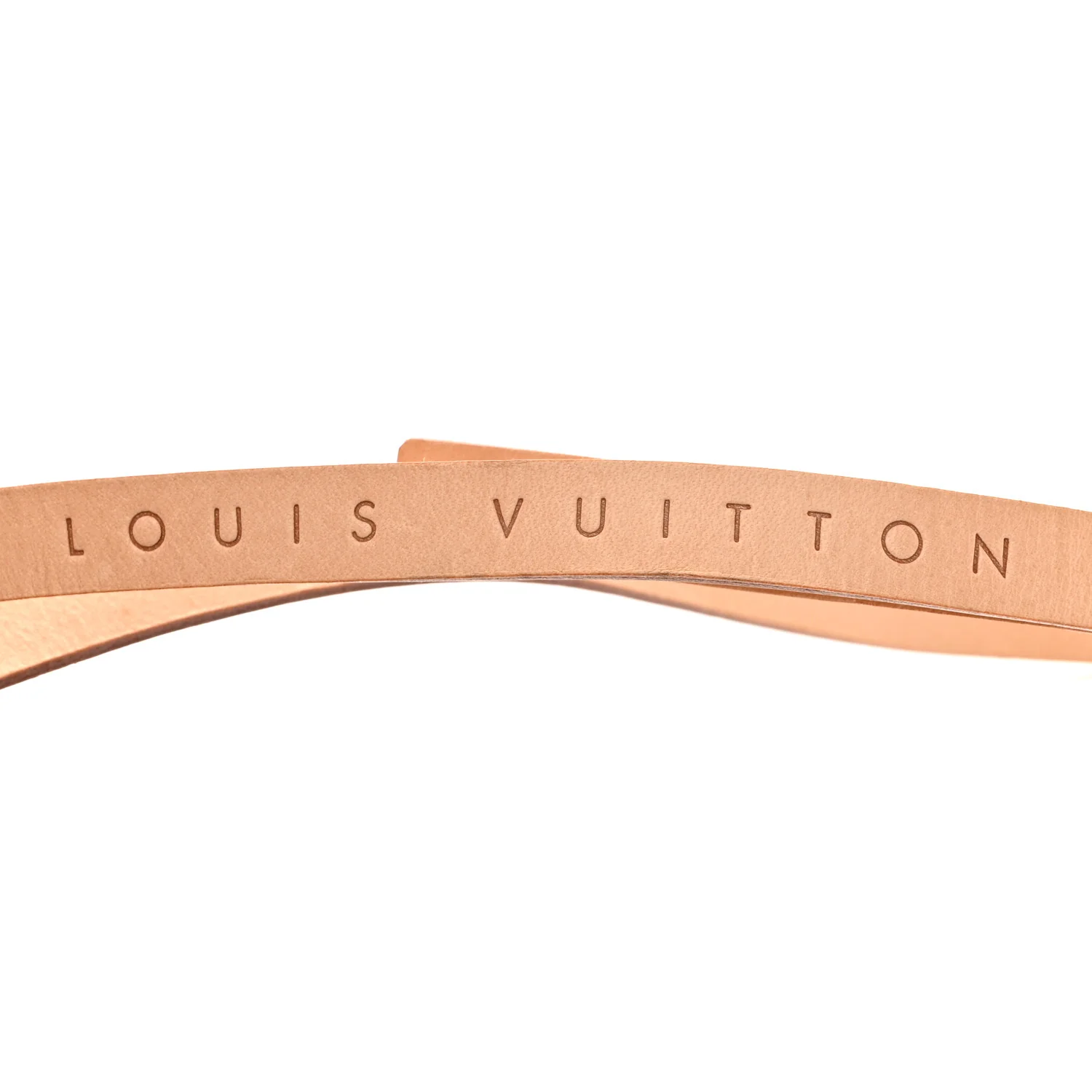 Monogram Pochette Florentine Bum Bag - Image 11