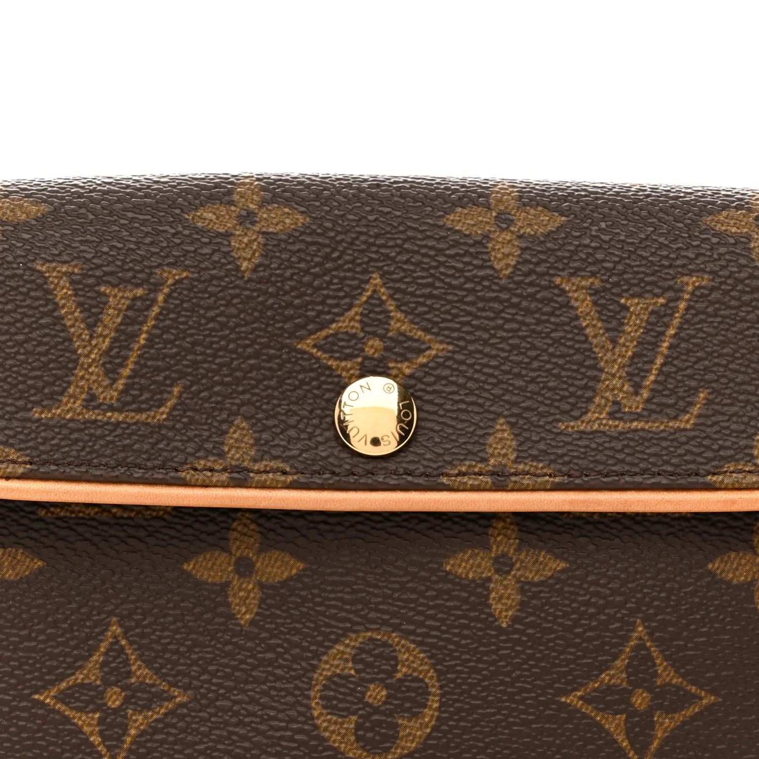 Monogram Pochette Florentine Bum Bag - Image 8