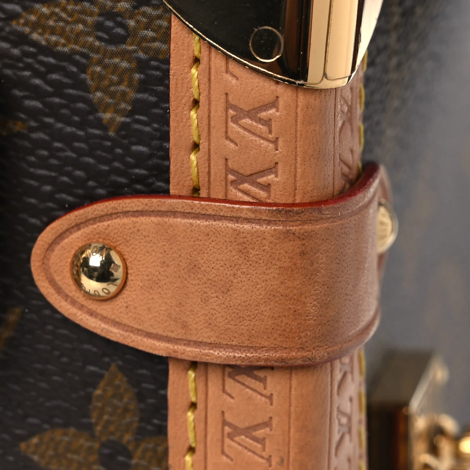 Monogram Side Trunk - Image 14