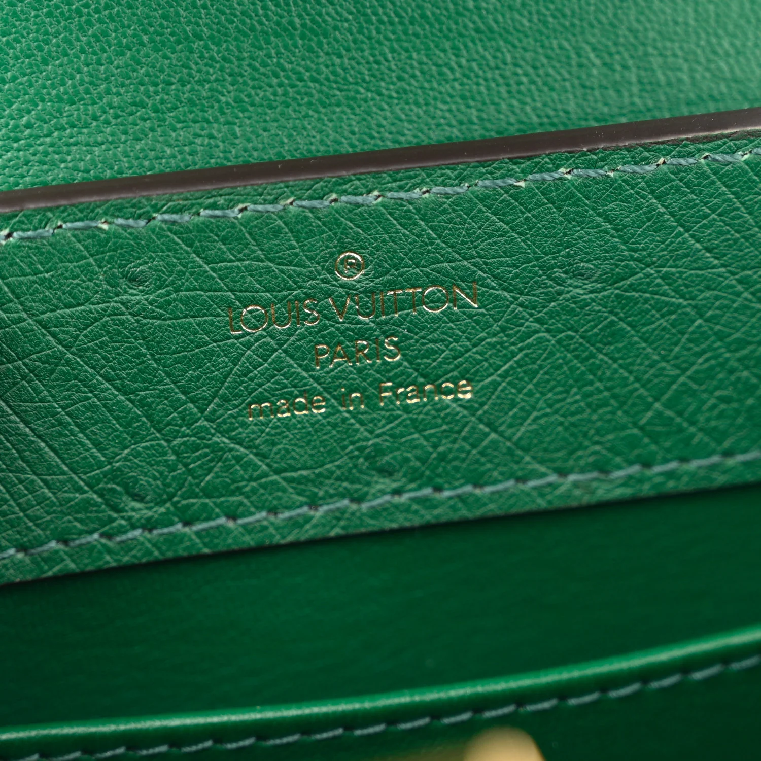 Ostrich Capucines Mini Mint - Image 6