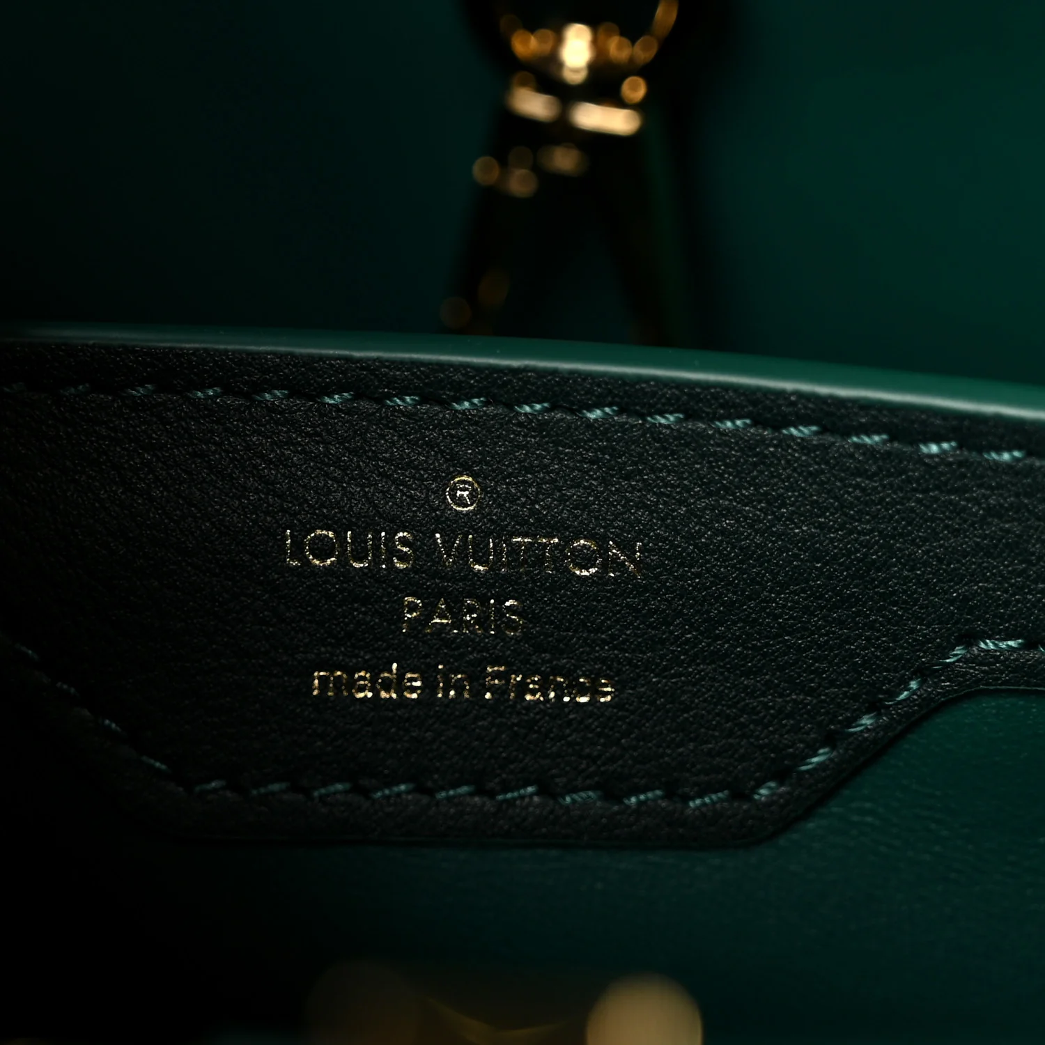 Velvet Embroidery Capucines BB Green - Image 7
