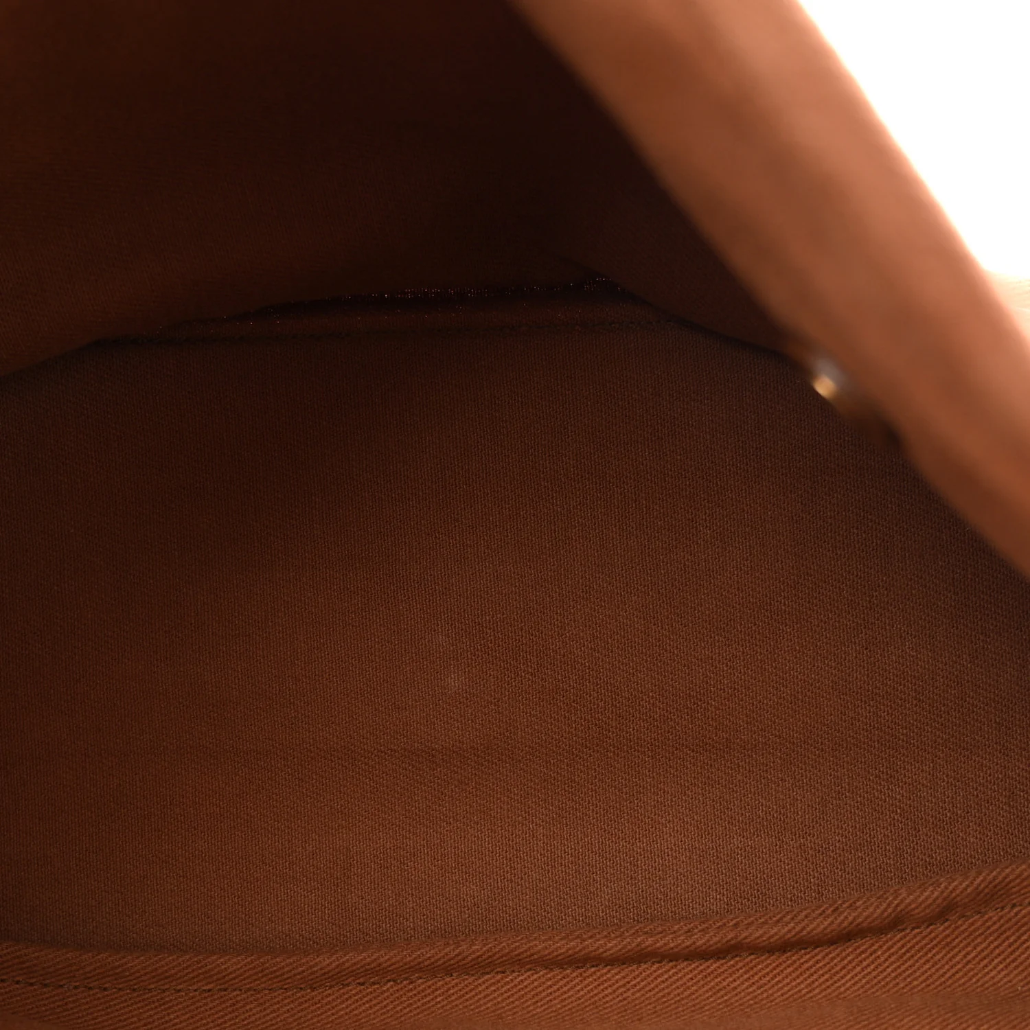 Calfskin Canvas Medium Muse Two Brown - Image 4