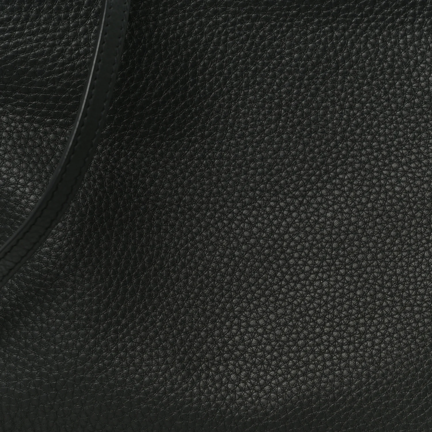 Grained Calfskin Nu Twin Bag Dark Pine - Image 9