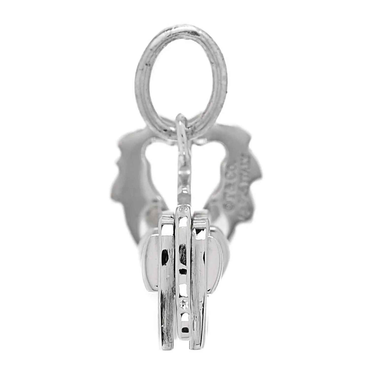 Sterling Silver Save the Wild Lion Charm - Image 3